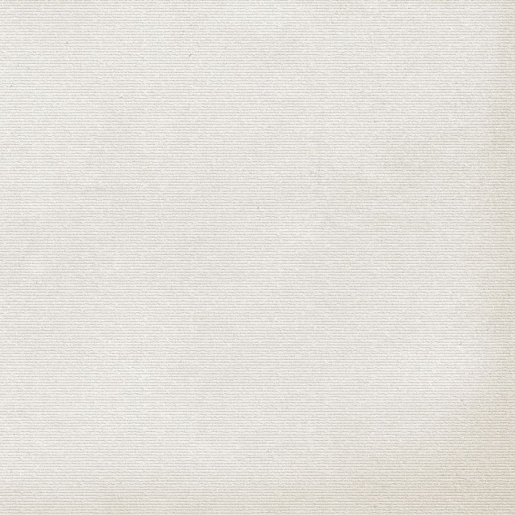 Elevation White Floor 24 x 24